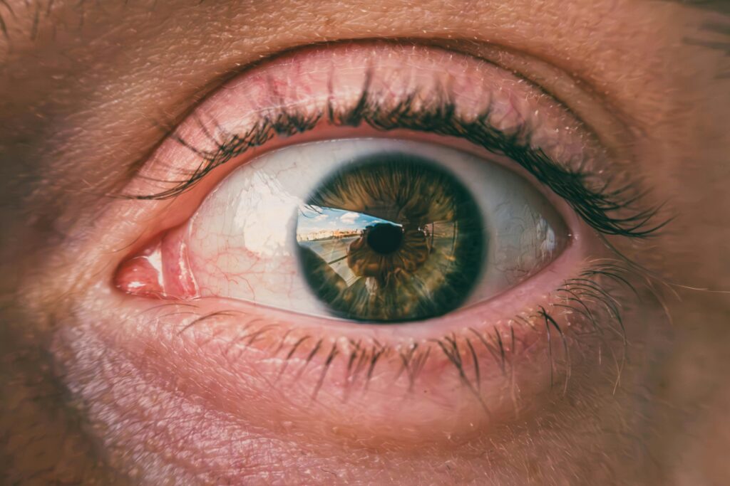Detailed macro image capturing a green eye reflecting a scenic Istanbul landscape.